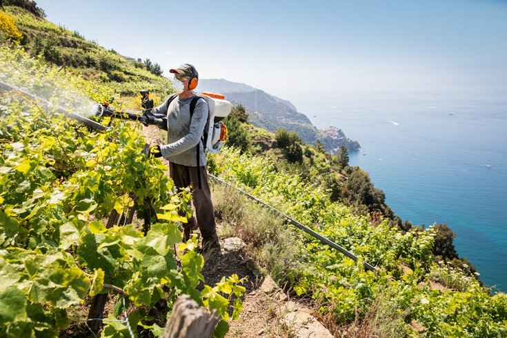 Lemosó permetezés Stihl gépek Kanizsa segítségével